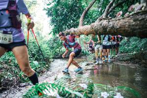 BIB: 
                            <button type="button" onclick="openModal(25462498)" class="btn btn-primary btn-sm float-right btn-popup" data-toggle="modal" data-target=".modal-high-quality">
                        <i class="fas fa-shopping-cart"></i> Add to Cart
                    </button>
                                            <button type="button" onclick="isThisMe(25462498, true)" class="btn btn-success btn-sm float-right btn-popup btn-isme hidden" data-toggle="tooltip" data-placement="bottom" title="นี่คือรูปของคุณใช่ไหม คลิกที่นี่เพื่อเอาเข้าอัลบั้ม">
                        <i class="fas fa-plus"></i> Add to album
                    </button>
                    <button type="button" onclick="isThisMe(25462498, false)" class="btn btn-warning btn-sm float-right btn-popup btn-isnotme hidden">
                        <i class="fas fa-ban"></i> Remove from album
                    </button>